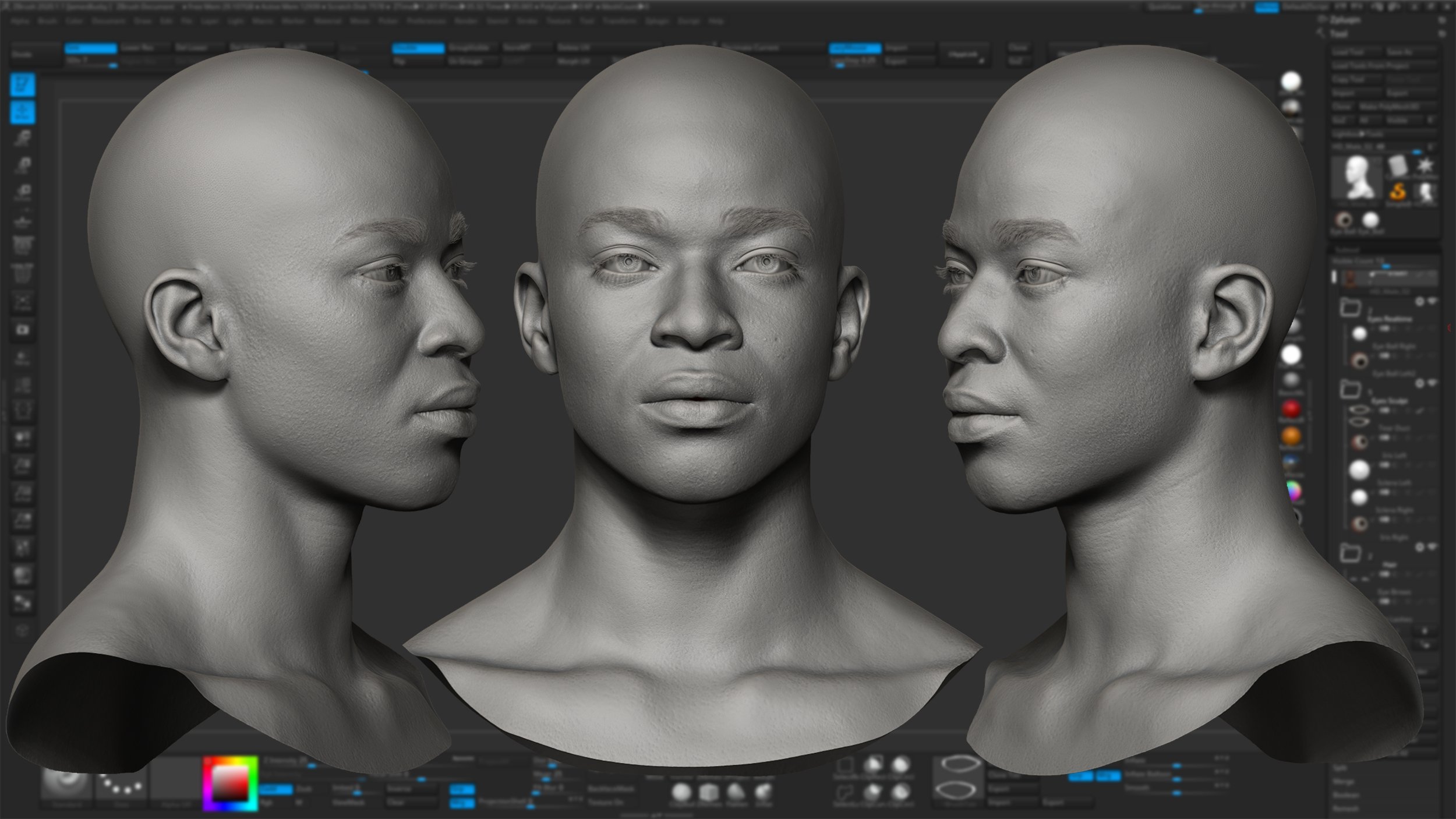 Realistic 3D Zbrush head model download